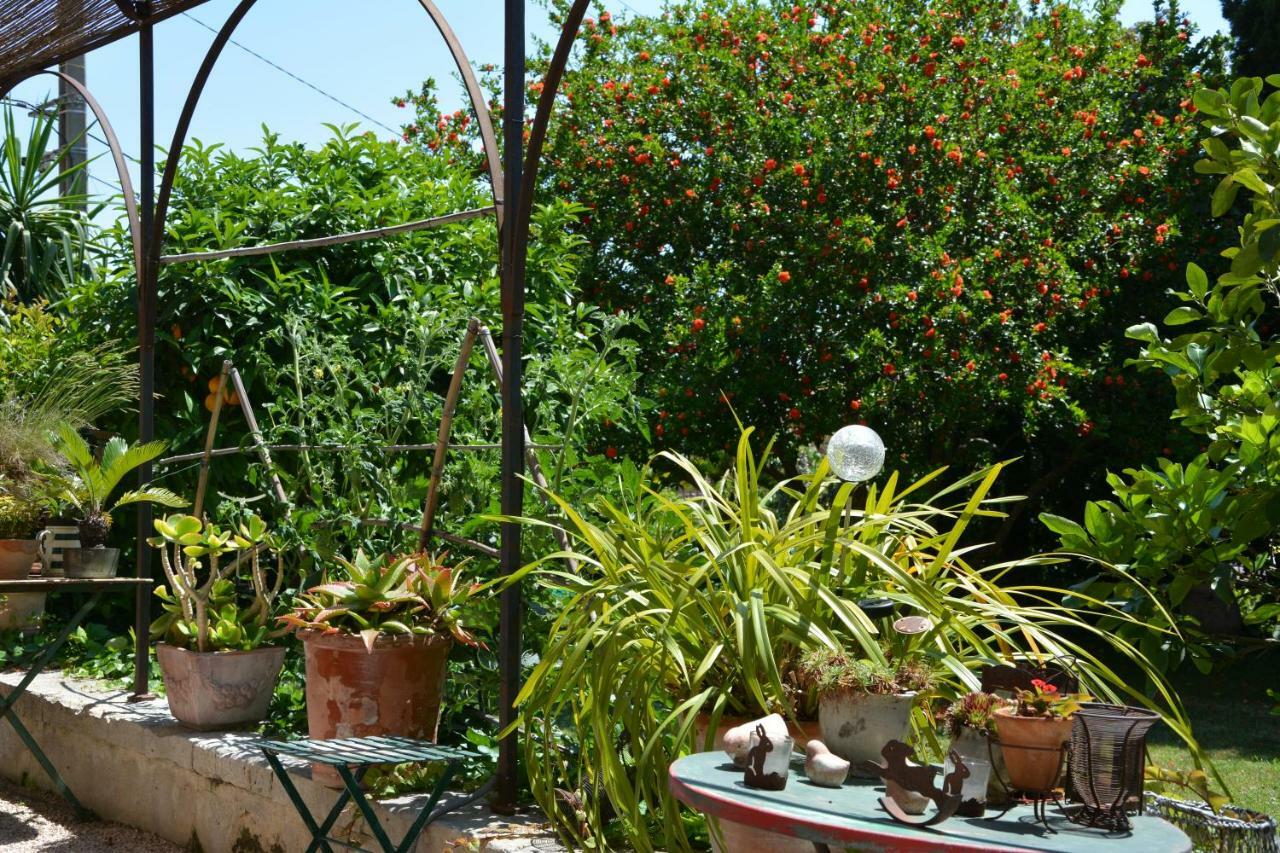 Les Passiflores กราส ภายนอก รูปภาพ